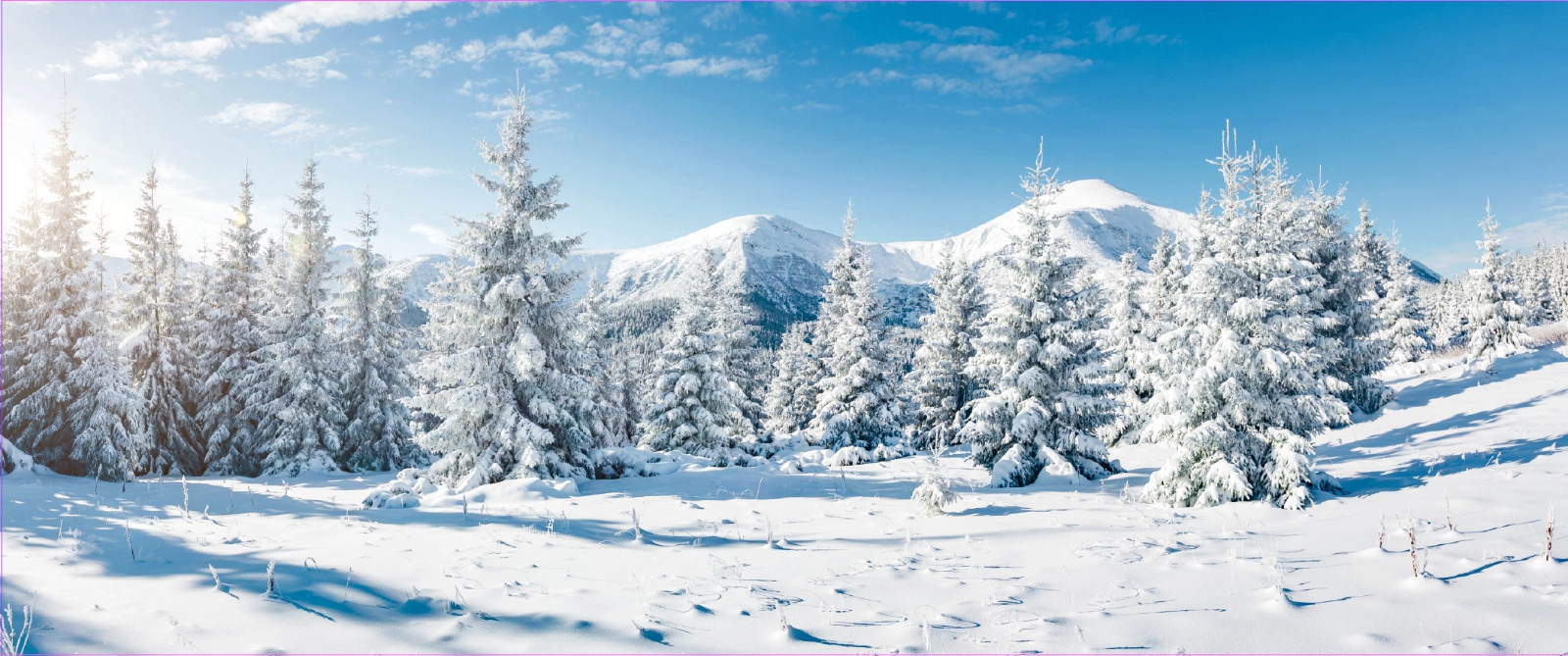 Apres ski/Winterdecoratie - Kerstbomen in de winter