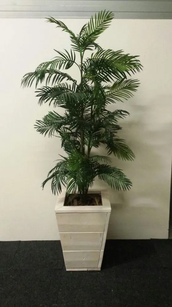 Palm in steigerhouten pot