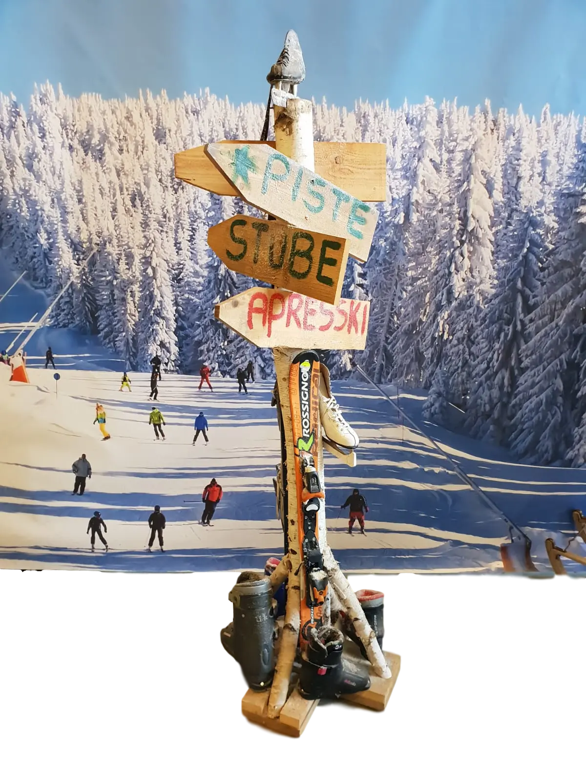 Apres ski/Winterdecoratie - Wegwijzer Berken Stam2